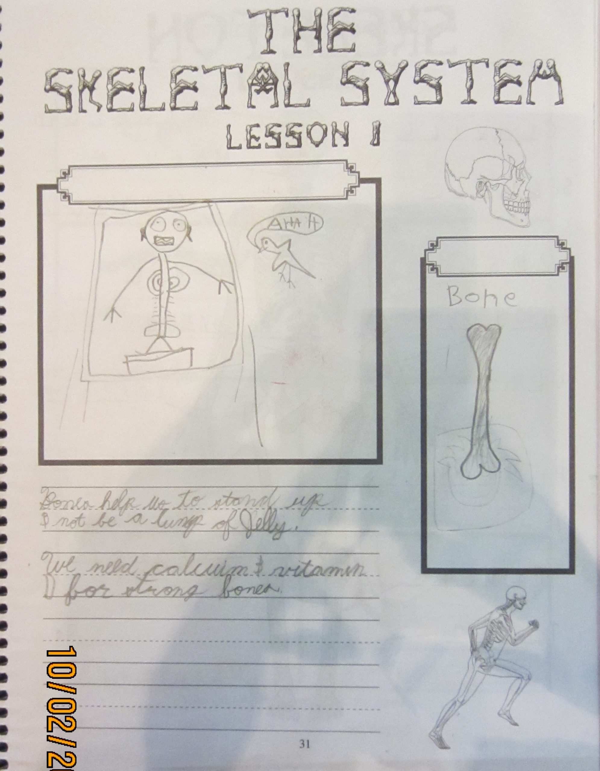 Science Bones Notebook Pages (2) « NutBugs